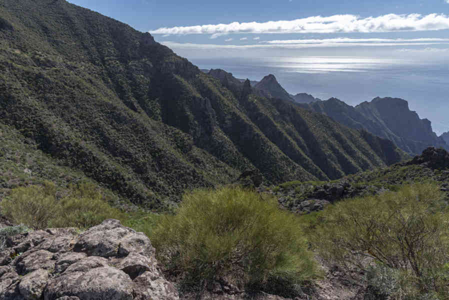 Tenerife 270 - parque rural de Teno.jpg